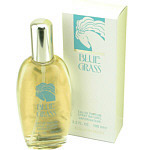 BLUE GRASS by Elizabeth Arden For Women